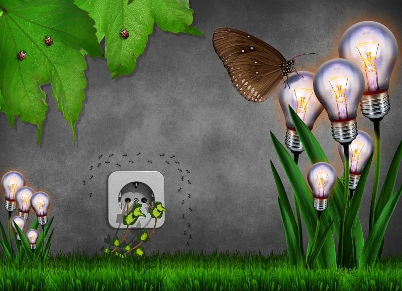 Економія енергії - турбота про природу 5